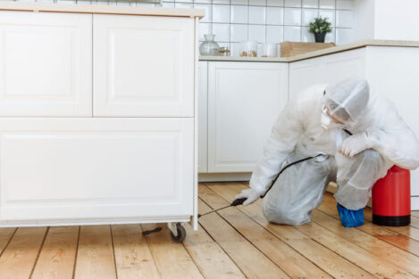 Limpieza en domicilios particulares